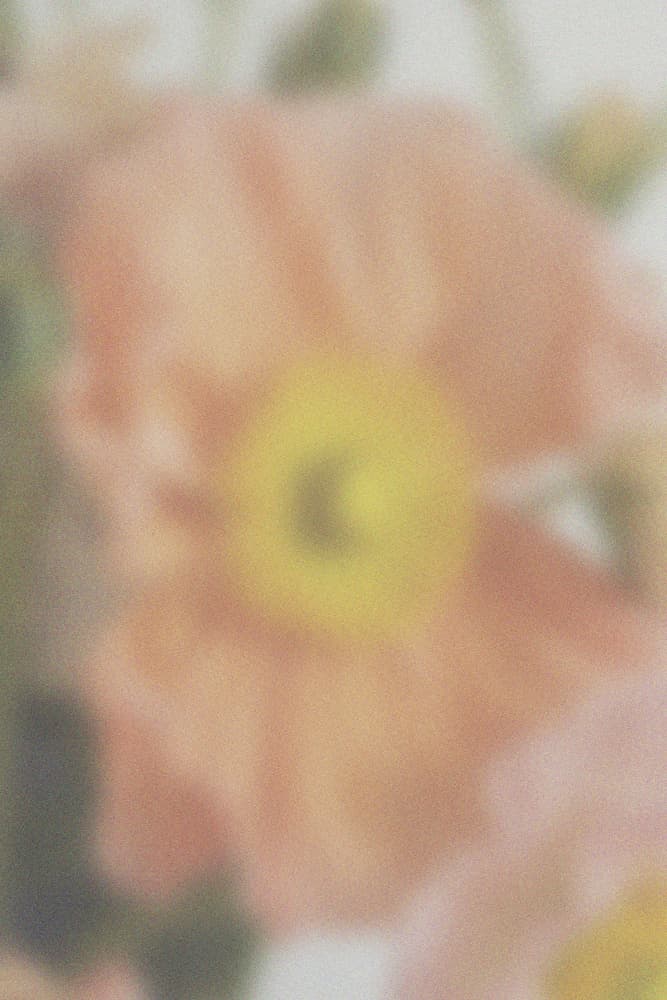 Soft Focus Bloom by Frida Floral Studio — canvas wall art