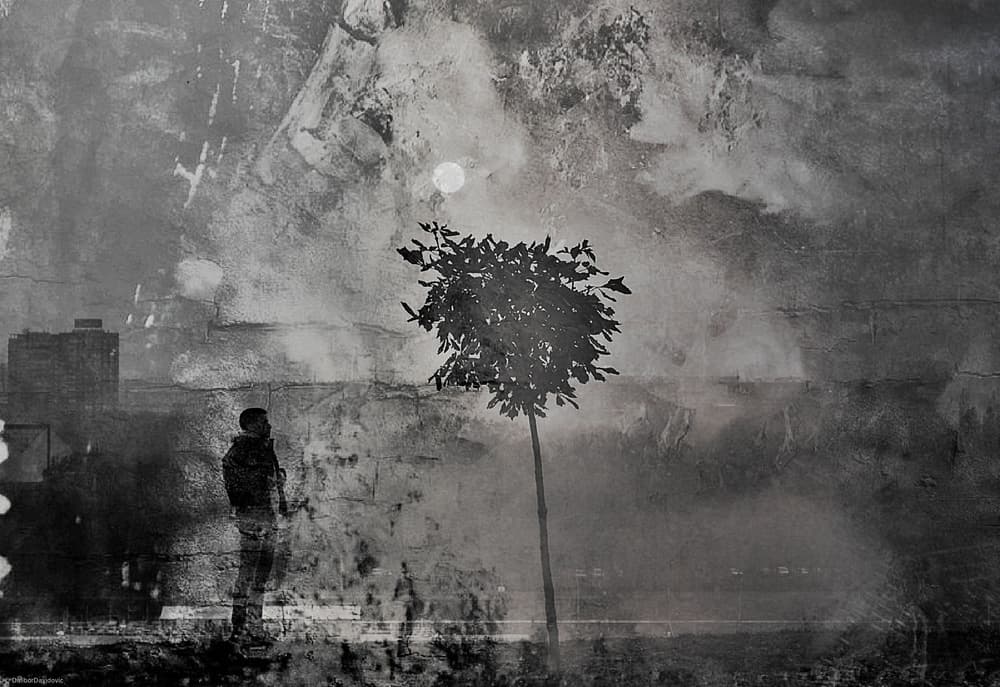 Lonely Man Foggy City by Dalibor Davidovic — canvas wall art