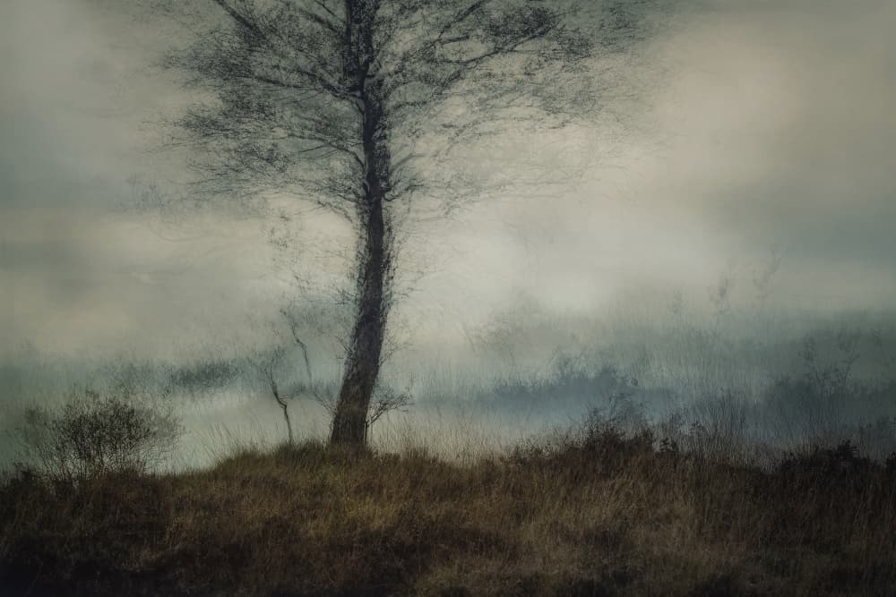 Silent by Nel Talen — canvas wall art