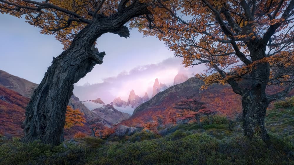 Autumn Mountain Glow by Leah Xu — canvas wall art