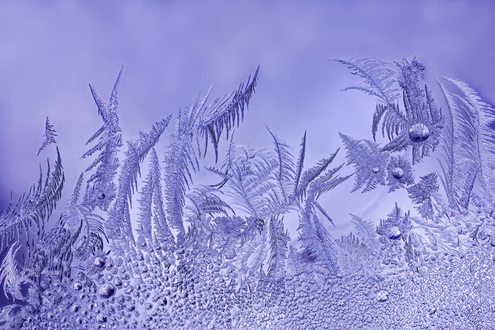 Purple Winter Frost by Lucie Gagnon — canvas wall art