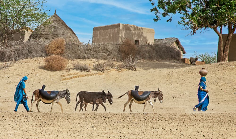 Desert Village Life by Sayyed Nayyer Reza — canvas wall art