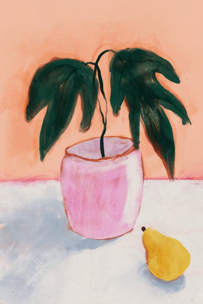 Pink Pot, Yellow Pear by Treechild — canvas wall art