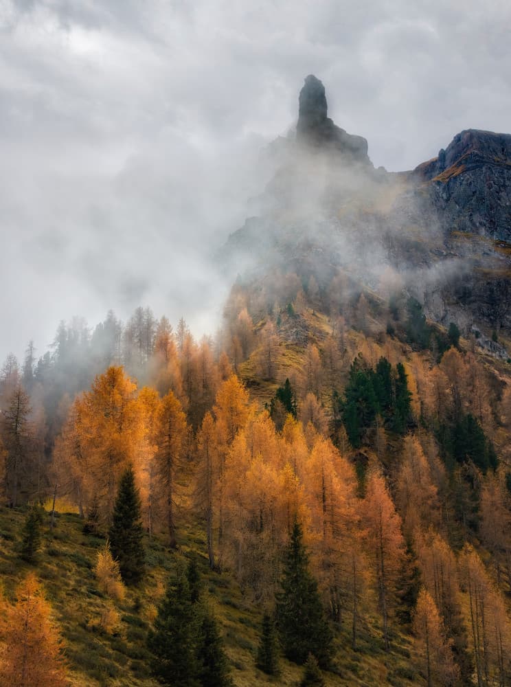 Misty Golden Mountains by Chong Q. Wu — canvas wall art