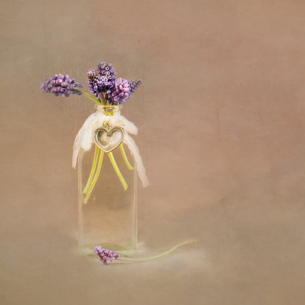 Sweet Lavender Bottle by Monique Delaet — canvas wall art