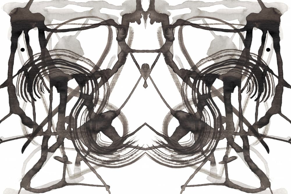 Abstract Ink Symmetry by Jemma Morris — canvas wall art