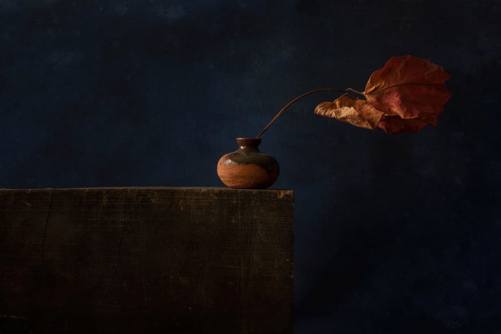 Dark Autumn Still Life by Ramiz Sahin — canvas wall art