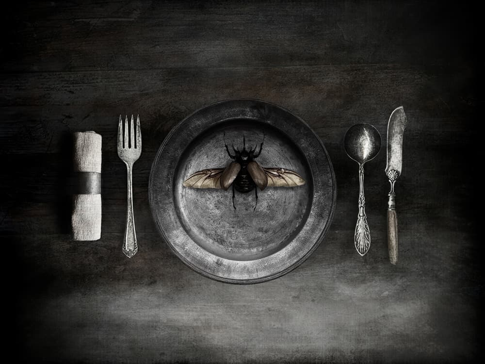 Unsettling Beetle Meal by Jeffrey Hummel — canvas wall art