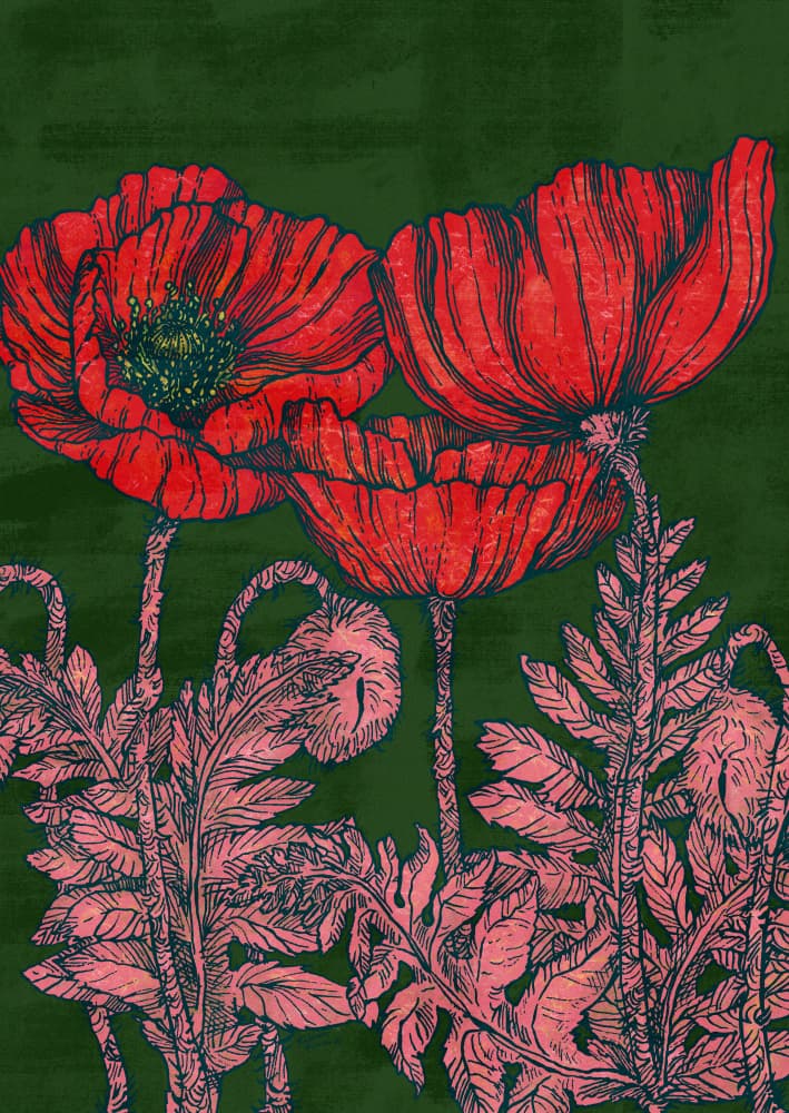 Vibrant Red Poppies by Katariina Kosunen — canvas wall art