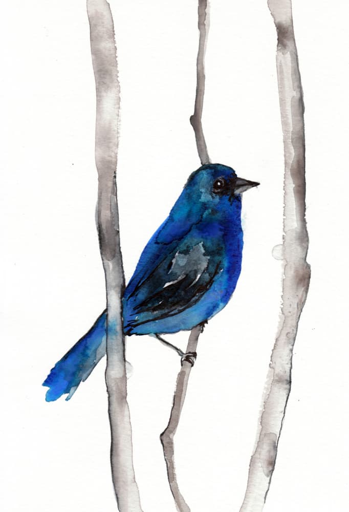 Vibrant Blue Songbird by Christine Lindstrom — canvas wall art