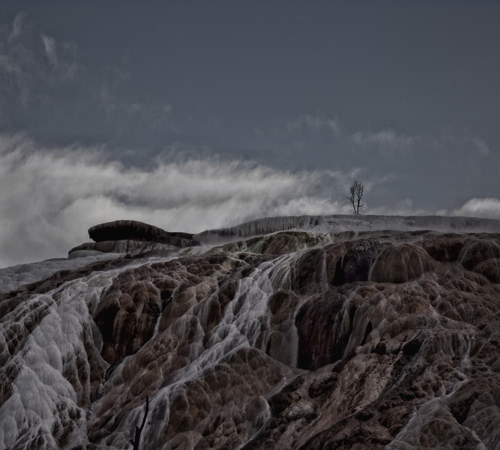 Moody Hot Springs Tree by Yvette Depaepe — canvas wall art