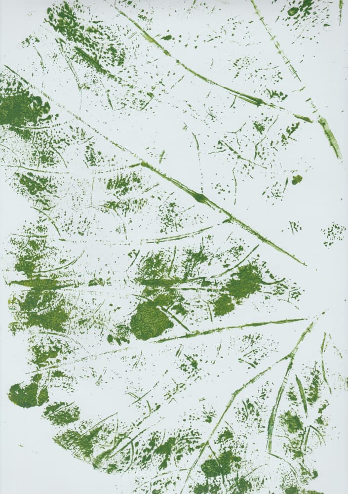 Green Leaf Impression by Maira Ribena — canvas wall art