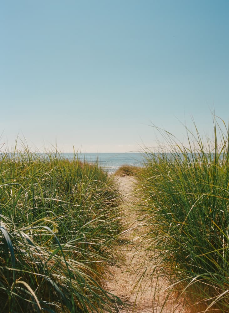 Beach Path To Ocean by Bethany Young — canvas wall art