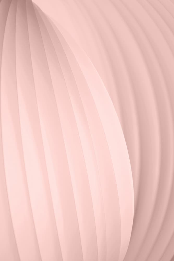 Elegant Abstract Curves by Christina Sillen — canvas wall art