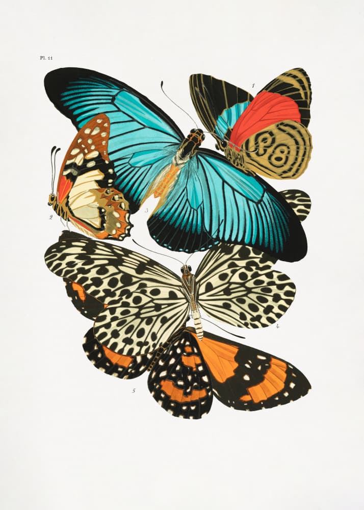 Butterflies 1 by Emile Alain Seguy — canvas wall art