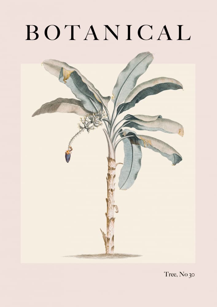 Botanical Banana Tree by Talitha McQueen — canvas wall art