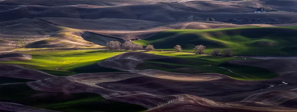 Rolling Hills Light by David H Yang — canvas wall art