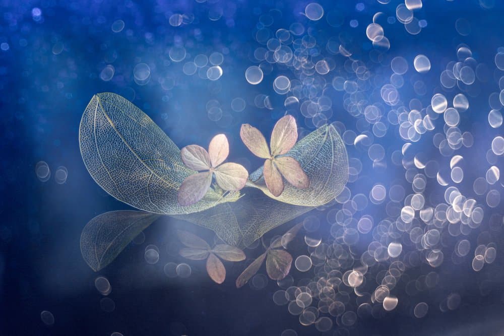 Ethereal Blue Leaves by Igor Kopcev — canvas wall art