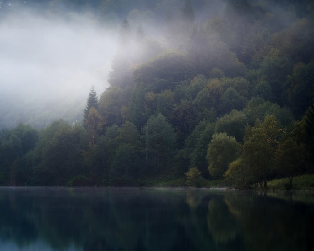 My darkness by Ionut Petrea — canvas wall art