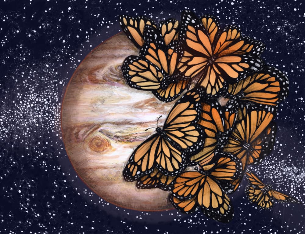 Monarchs Swarming Jupiter by EC Mazur — canvas wall art