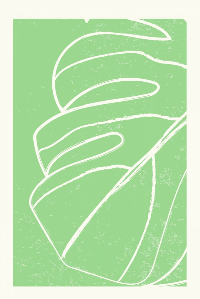 Organic Green Monstera by jay stanley — canvas wall art