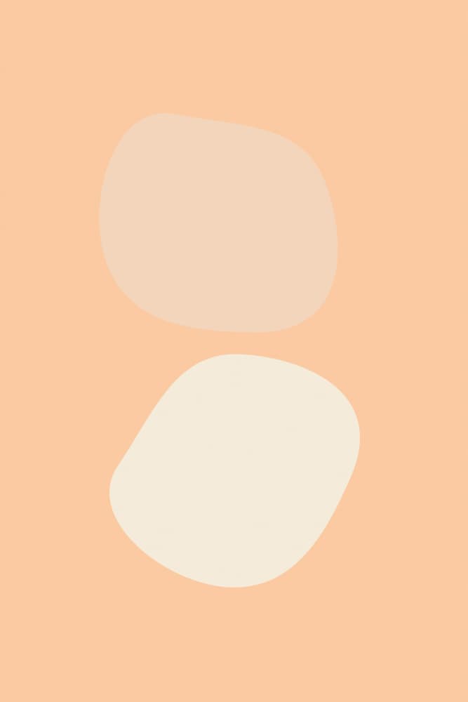 Soft Organic Forms by Pictufy Studio — canvas wall art