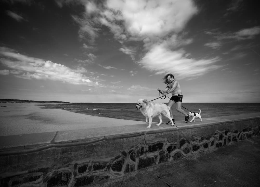 Man Rollerblading With Dogs by Miroslaw Prybinski — canvas wall art