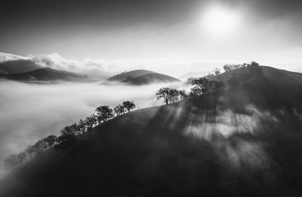 Sun Rays Over Misty Hills by Jenny Qiu — canvas wall art