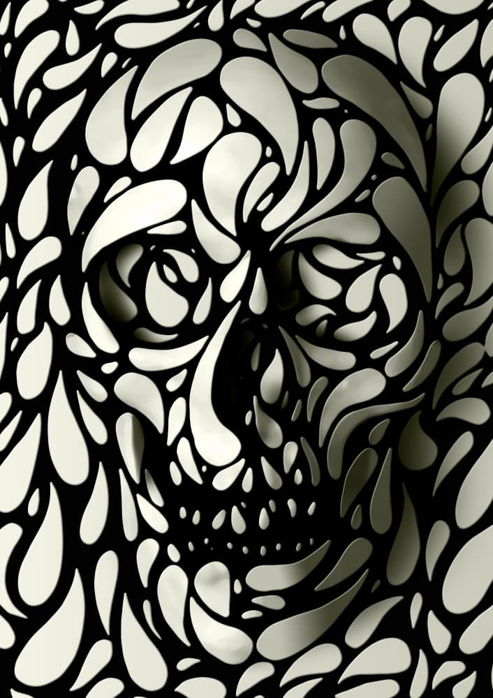 Skull Optical Illusion by Ali Gulec — canvas wall art