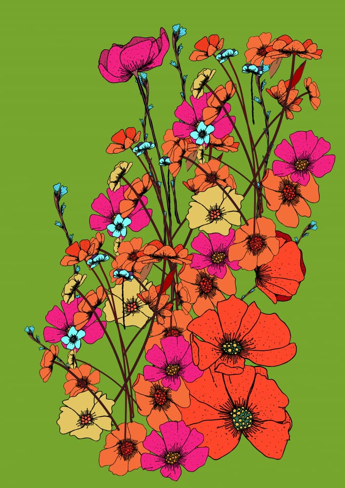 Colorful Wildflowers by Nicholas — canvas wall art