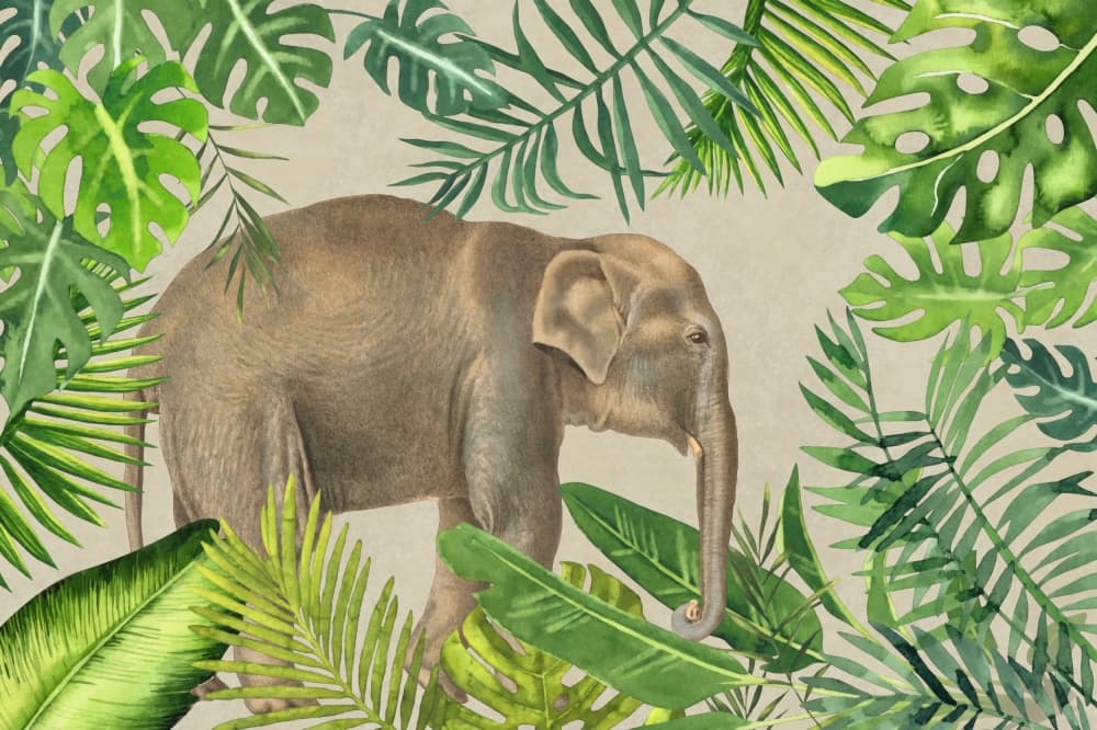 Elephant Among Tropical Leaves by Andrea Haase — canvas wall art