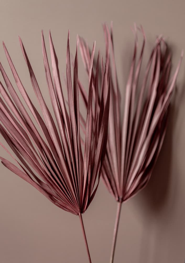Last Summer 26 by Mareike Böhmer — canvas wall art