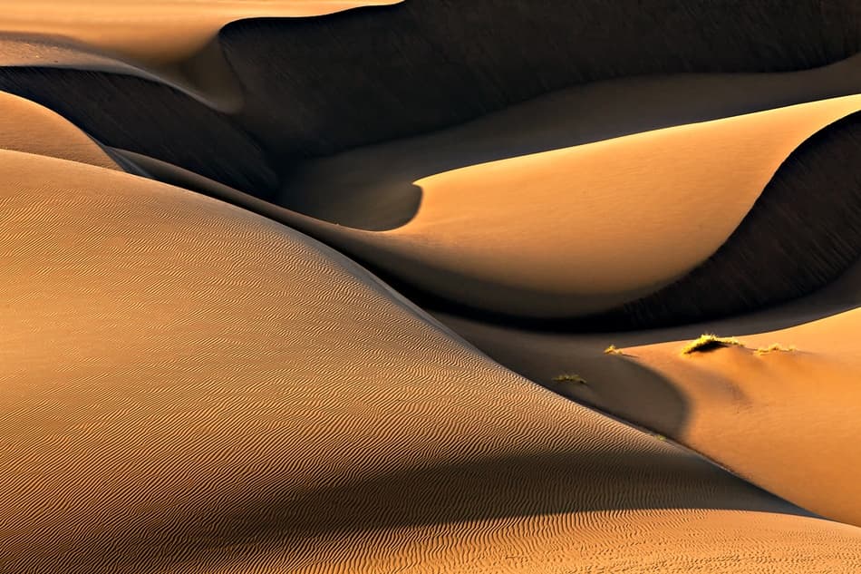 Golden Land by Mohammadreza Momeni — canvas wall art