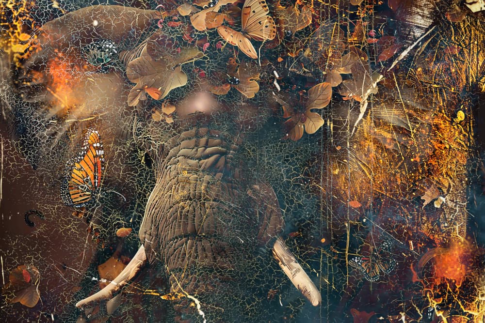 Autumn Elephant Spirit by Rafal Kulik — canvas wall art