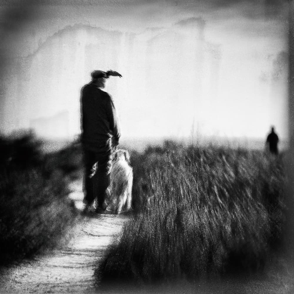Peaceful Walk With Dog by Ina Tänzer — canvas wall art