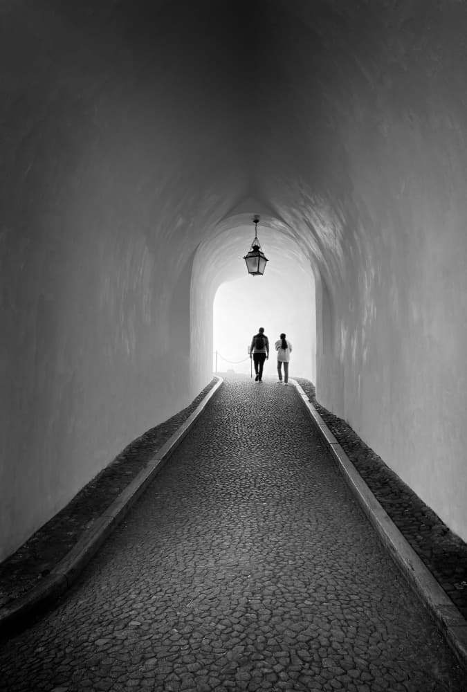 Walk into Light by Fan Lin (APA) — canvas wall art