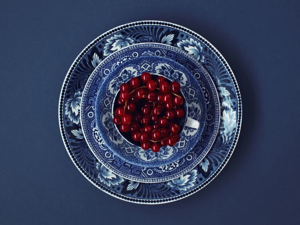 Classic Blue Currants by Masha Bakker Matijevic — canvas wall art