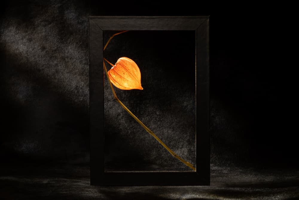 Glowing Chinese Lantern by Igor Kopcev — canvas wall art