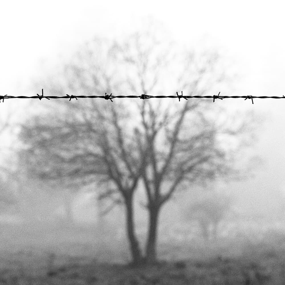 Barbed Wire Fog by Wagdi Kala — canvas wall art