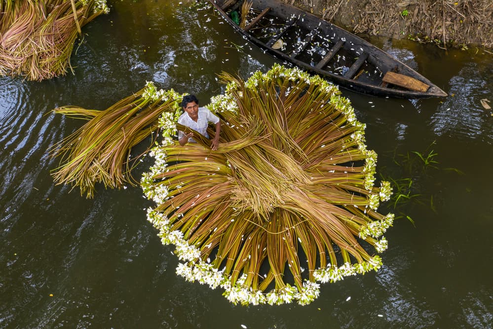 Floating Water Lily Harvest by Azim Khan Ronnie — canvas wall art