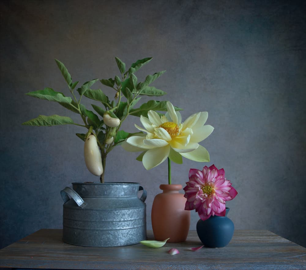White Eggplants Dahlia Still by Fangping Zhou — canvas wall art