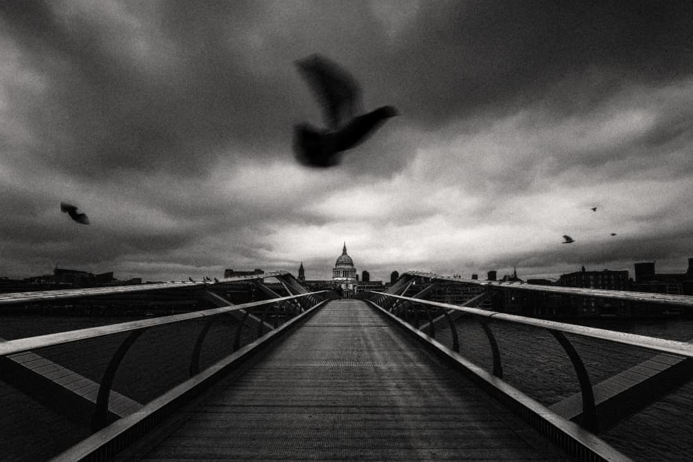 Millennium Bridge St Paul's by Steven Zhou — canvas wall art