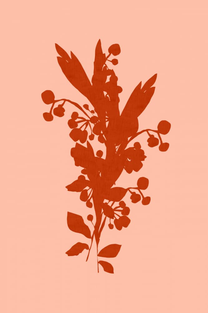 Terracotta Floral Silhouette by cartissi — canvas wall art