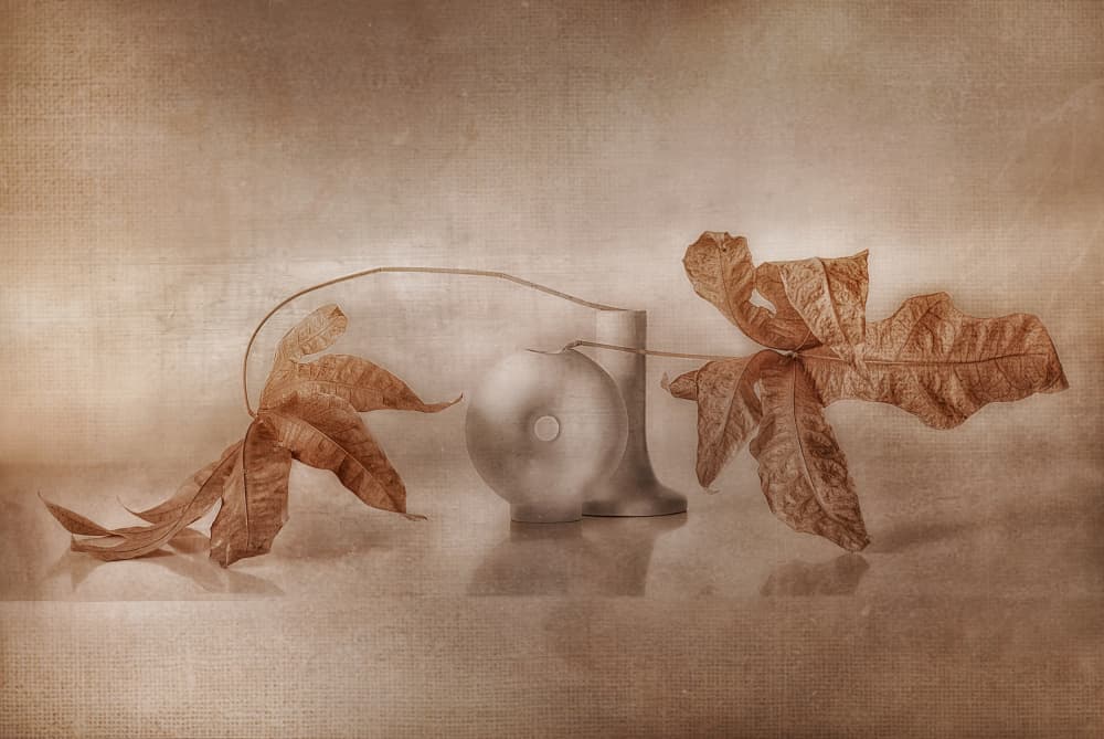 Vintage Autumn Reflection by Elena Arjona — canvas wall art
