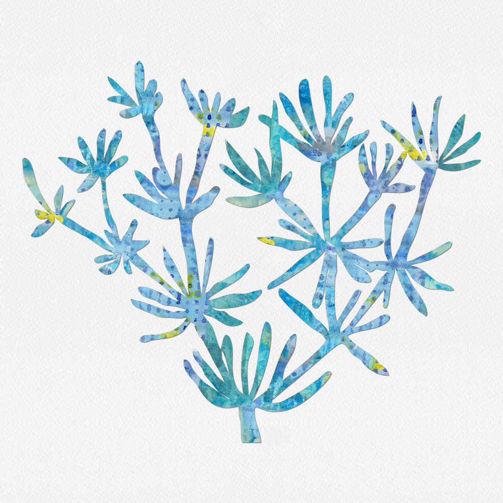 Vibrant Ocean Botanicals by Laura H Gibson — canvas wall art