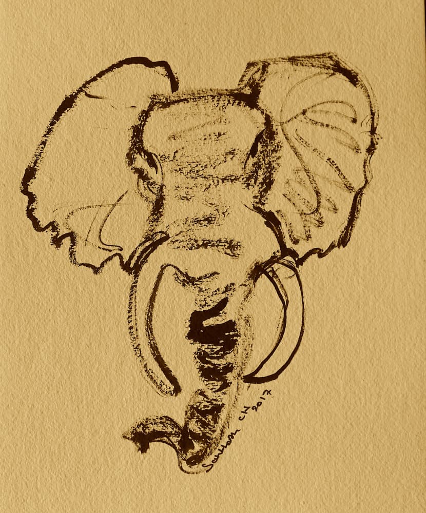 Wild Elephant Sketch by Santhosh ch — canvas wall art