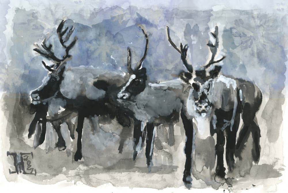 Three Reindeer In Winter by Tim Hoinkis — canvas wall art