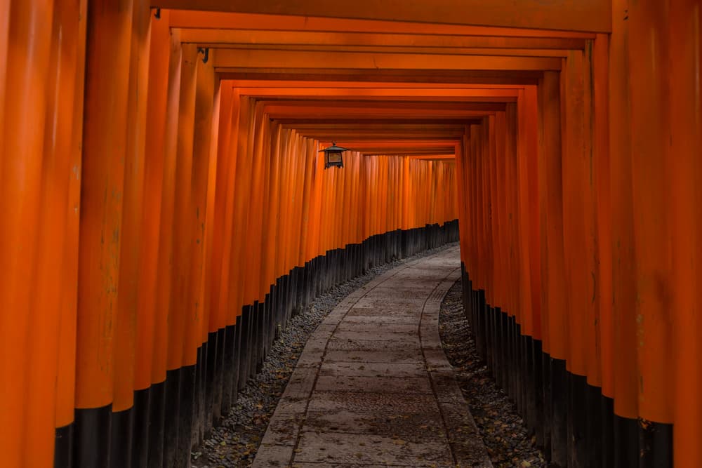 Japanese Torii Gate Pathway by Pawel Majewski — canvas wall art