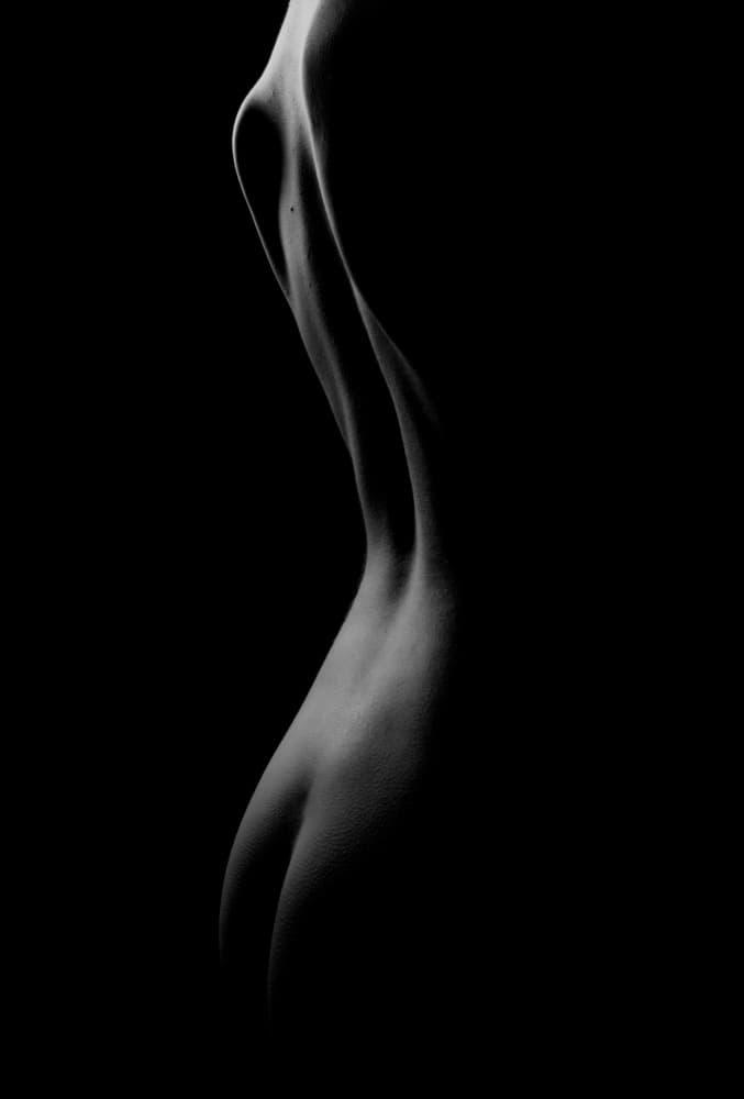 Elegant Female Form by Tran Van Truong — canvas wall art