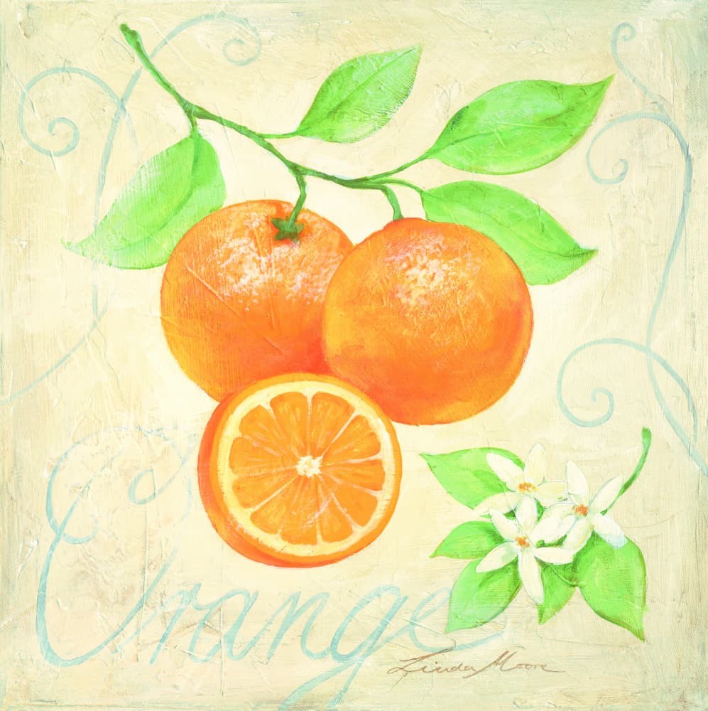 Fresh Oranges and Blossoms by Renate Holzner — canvas wall art